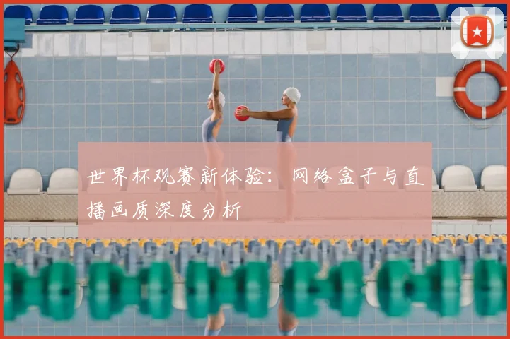 世界杯观赛新体验：网络盒子与直播画质深度分析