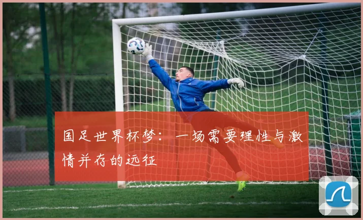国足世界杯梦：一场需要理性与激情并存的远征