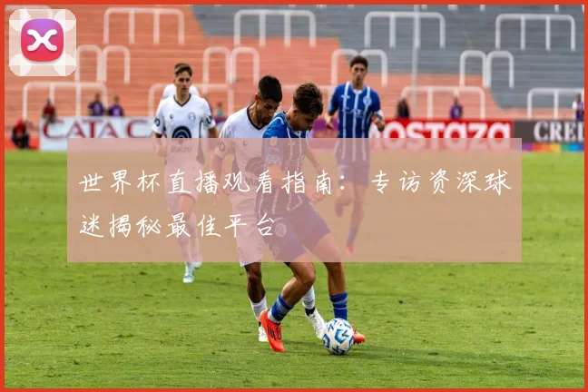 世界杯直播观看指南:专访资深球迷揭秘最佳平台