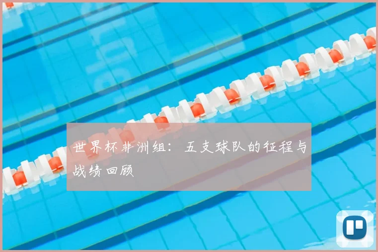世界杯非洲组：五支球队的征程与战绩回顾
