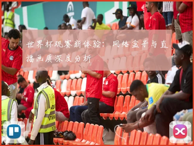 世界杯观赛新体验：网络盒子与直播画质深度分析