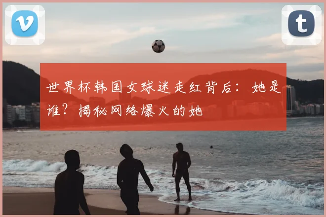 世界杯韩国女球迷走红背后：她是谁？揭秘网络爆火的她