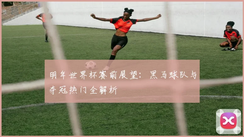 明年世界杯赛前展望：黑马球队与夺冠热门全解析