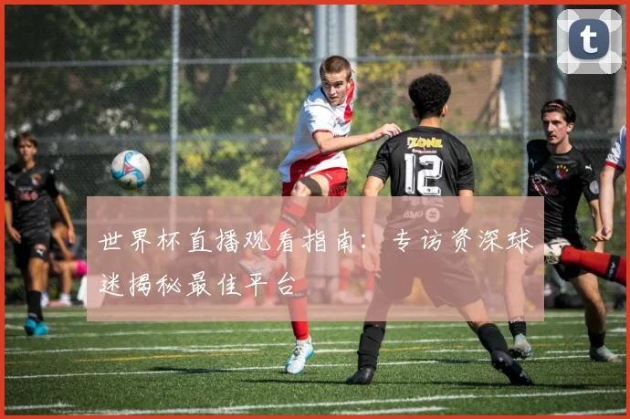 世界杯直播观看指南:专访资深球迷揭秘最佳平台