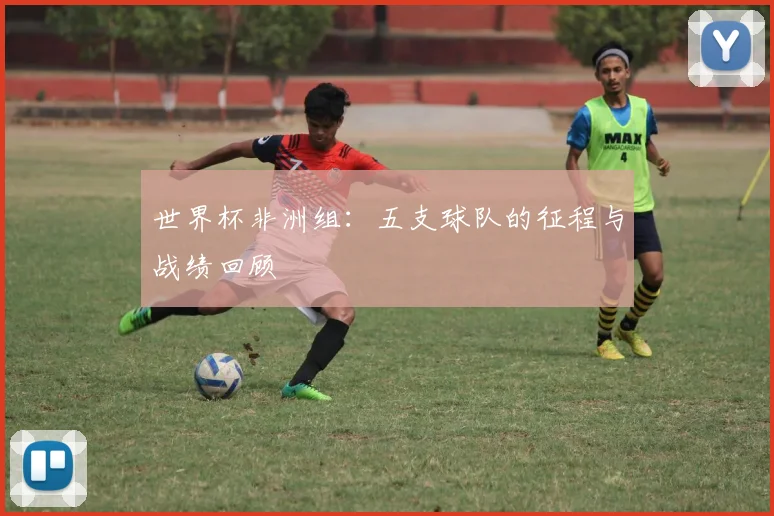 世界杯非洲组：五支球队的征程与战绩回顾