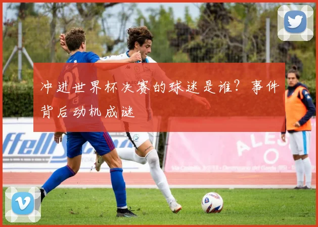 冲进世界杯决赛的球迷是谁?事件背后动机成谜