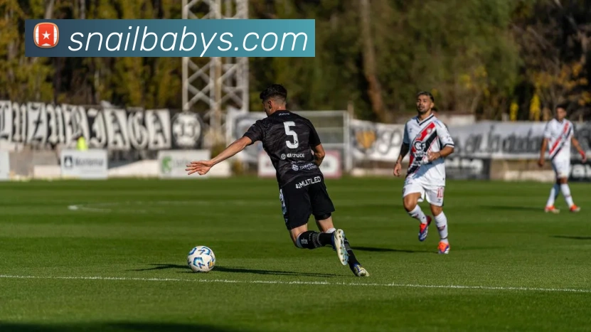 开云在线官网登录入口平台生态图