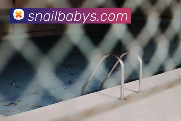 开云在线官网登录入口全站App